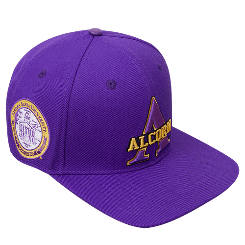 "SPIN IT" ALCORN STATE UNIVERSITY CLASSIC WOOL SNAPBACK HAT (PURPLE)