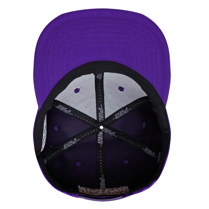 "SPIN IT" ALCORN STATE UNIVERSITY CLASSIC WOOL SNAPBACK HAT (PURPLE)